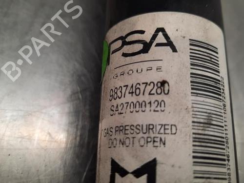 Left rear shock absorber OPEL CORSA F (P2JO) 1.2 (68) | BP23598434M18 