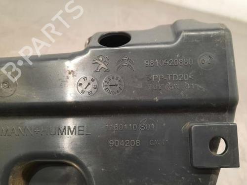 Pipe PEUGEOT 3008 II SUV (MC_, MR_, MJ_, M4_) 1.5 BlueHDi 130 | BP23596966M125 