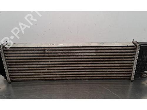 Used Intercooler DS DS 4 II (FR_, FB_, F3_, FP_) PureTech 180 (F35GFT) (180 hp) 29468303