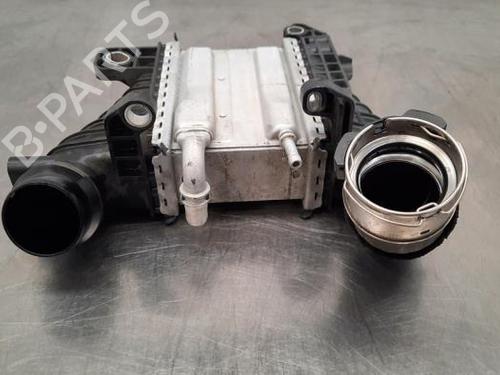 Intercooler NISSAN NV250 Van (X61) dCi 115 | BP23603637M30 