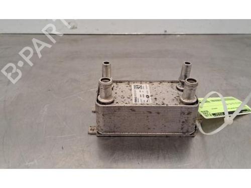 Radiador aceite LAND ROVER RANGE ROVER VELAR (L560) 2.0 D200 MHEV 4x4 (204 hp) 30806490