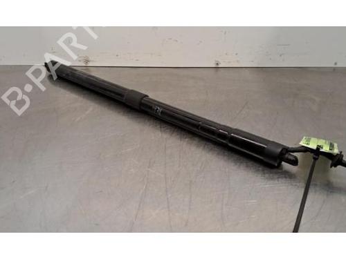 Used Tailgate lift support LAND ROVER RANGE ROVER EVOQUE (L538) 2.0 D 4x4 (150 hp) 31842954