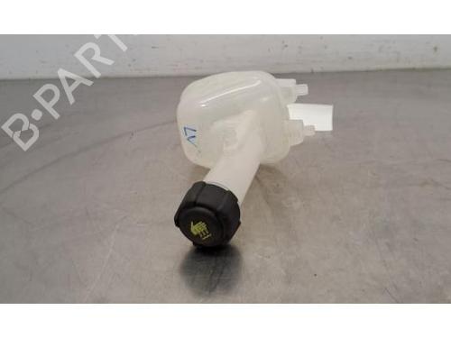 expansion-tank-renault-arkana-i-lcm_-ldn_-2019-29817975 main image