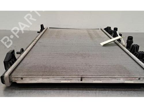 Køler DS DS 3 / DS 3 CROSSBACK (UR_, UC_, UJ_) E-TENSE (UZZKXZ) | BP29045417M31