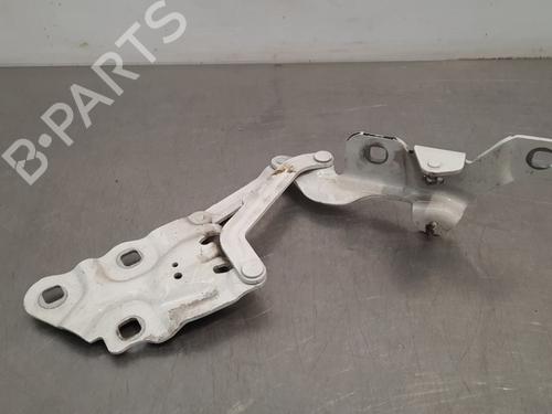 Hinge/Door check strap BMW X4 (F26) xDrive 20 d | BP17112873C146 