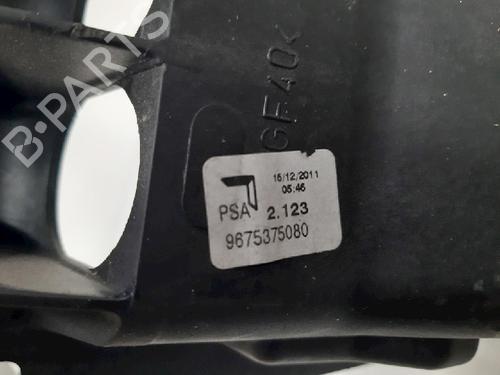 Gear lever CITROËN DS3 (SA_) 1.6 HDi 90 | BP10869755M90 