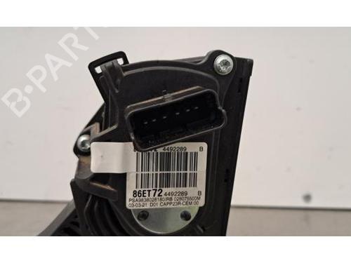Pedal OPEL VIVARO C Van (K0) 2.0 | BP31167025I4