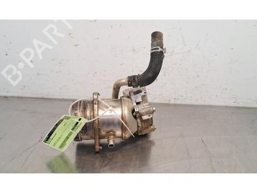 Egr NISSAN PRIMASTAR Van (X82) 2.0 dCi 150 | BP24191863M69 
