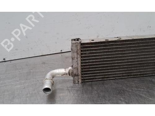 Radiador de água Radiador de água RENAULT TRAFIC III Van (FG_) 2.0 dCi 145 (FGML) (145 hp) 36769819 36769819