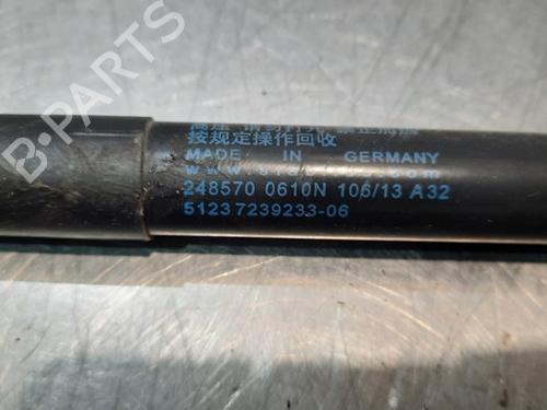 Hinge/Door check strap BMW 1 (F20) 114 i | BP15031231C146 