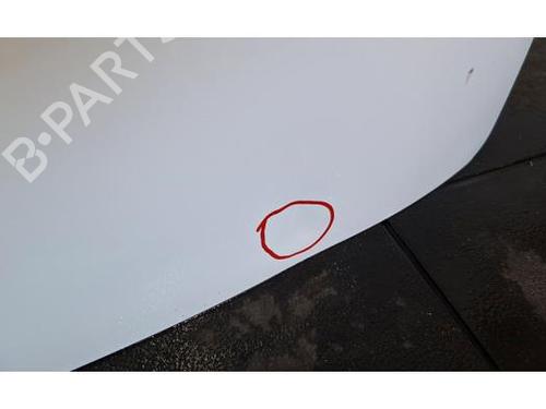 Tailgate FORD TRANSIT CUSTOM V362 Van (FY, FZ) 2.0 EcoBlue | BP29703661C6 