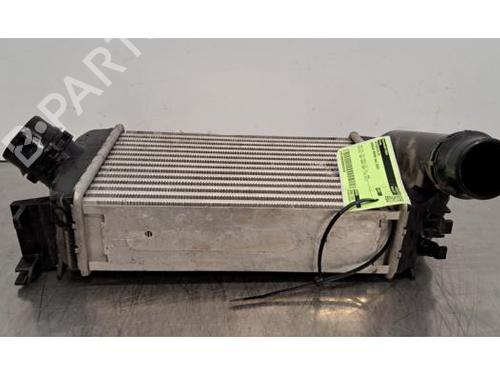 Intercooler NISSAN MICRA V (K14) 1.0 IG-T | BP31347346M30 