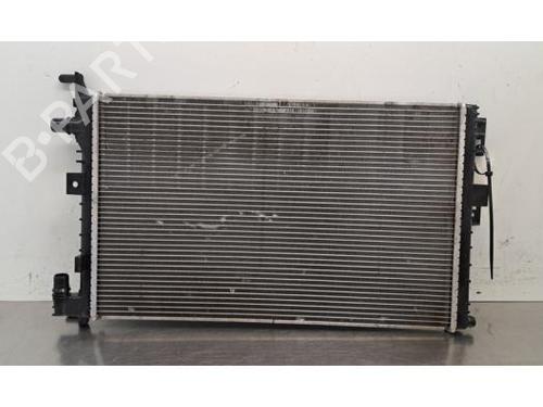 Used Water radiator Water radiator RENAULT CAPTUR II (HF_) TCe 155 (HFMN) (154 hp) 40289258 40289258