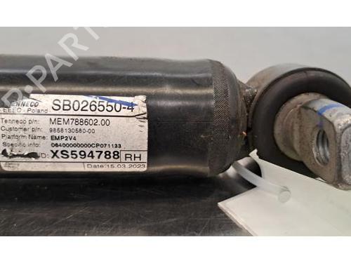 Right rear shock absorber PEUGEOT 308 III (FB_, FH_, FP_, F3_, FM_) e-308 (FMZKWZ) | BP29317982M19 