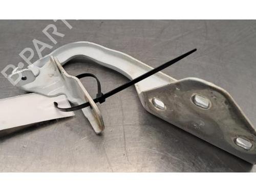 Hinge/Door check strap DACIA DUSTER (HM_) 1.2 TCe 125 (HMMA) | BP40483917C146 - Image 3