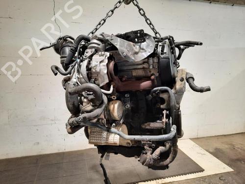 Engine SKODA SCALA (NW1) 1.6 TDI | BP39624543M1 - Image 3