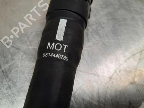 Pipe CITROËN C3 / C3 ORIGIN III (SX) 1.5 BlueHDi 100 (SXYHYP, SXYHTU) | BP23616314M125 