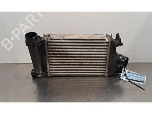 Intercooler NISSAN MICRA V (K14) 1.0 IG-T 100 (101 hp) 32161730