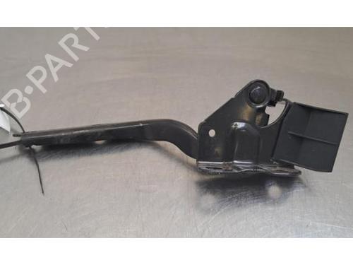hingedoor-check-strap-toyota-mirai-jpd2_-2020-34048233 main image
