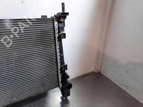 Water radiator FIAT FIORINO Box Body/MPV (225_) 1.3 D Multijet | BP32376621M31