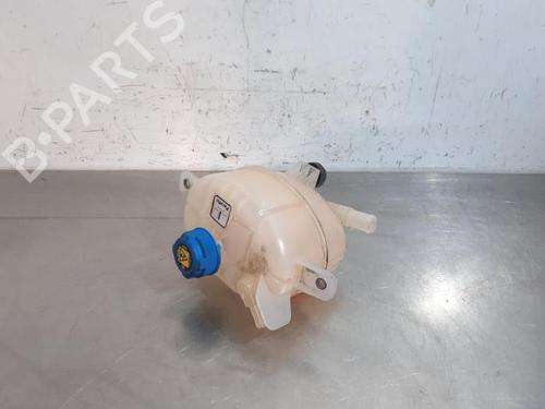 Used Expansion tank FIAT FIORINO Box Body/MPV (225_) 1.3 D Multijet (95 hp) 23590769