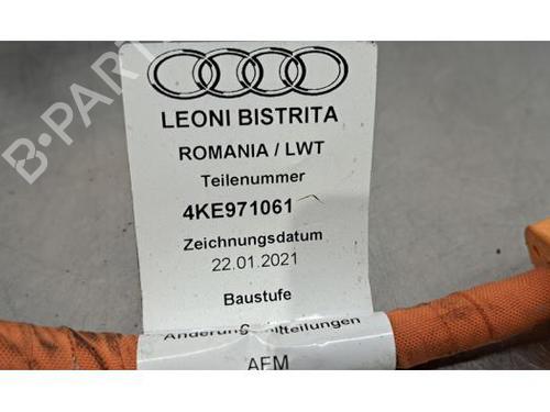 Cable AUDI E-TRON (GEN) 55 quattro | BP24157213E12