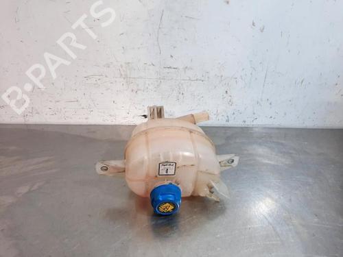 Expansion tank FIAT FIORINO Box Body/MPV (225_) 1.3 D Multijet | BP23594803C120 