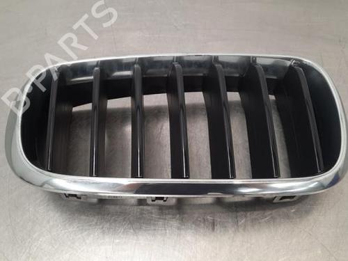 Grill BMW X6 (F16, F86) xDrive 30 d (211 hp) 20079638