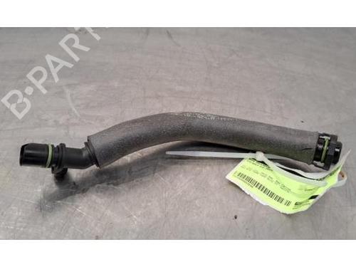 Used Other VW GOLF VIII (CD1, DA1) 1.5 TSI (131 hp) 29379319