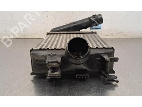 Intercooler NISSAN JUKE (F16_) 1.0 | BP36005258M30 - Image 3