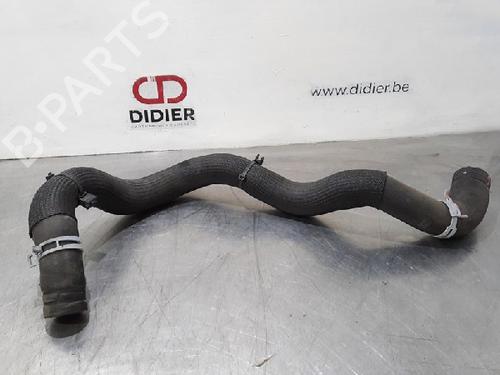 Used Pipe RENAULT MEGANE IV Saloon 1.3 TCe 140 (LVNB) (140 hp) 15020878