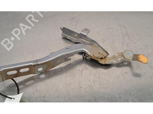 Hinge/Door check strap PEUGEOT 2008 II (UD_, US_, UY_, UJ_, UR_, UC_) 1.5 BlueHDI 100 | BP28067478C146 