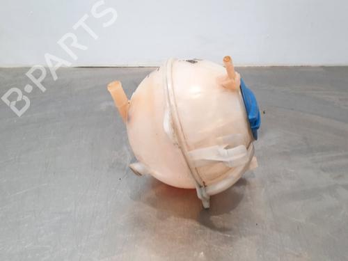 Expansion tank VW CADDY IV Box Body/MPV (SAA, SAH) 2.0 TDI | BP10899139C120 
