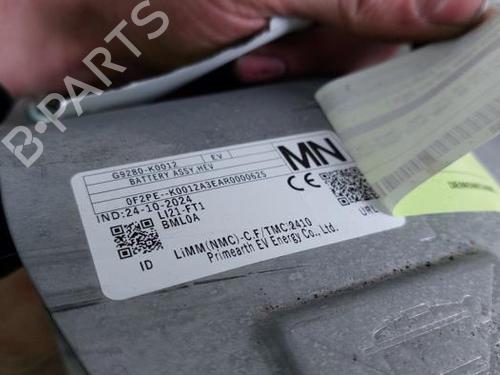 Battery TOYOTA YARIS (_P21_, _PA1_, _PH1_) 1.5 Hybrid (MXPH10, MXPH11) | BP31655943E11 