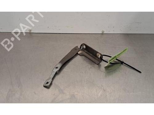 hingedoor-check-strap-dacia-logan-mcv-ii-2013-32158752 main image