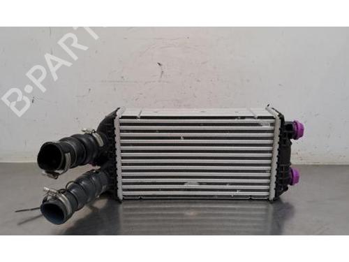 Used Intercooler Intercooler OPEL FRONTERA (OV24) 1.2 MHEV (101 hp) 35935322 35935322