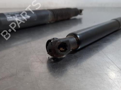 Tailgate lift support TESLA MODEL 3 (5YJ3) EV AWD | BP37511371C138 - Image 6