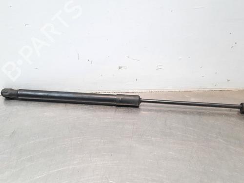 Used Hood lift support AUDI Q5 (FYB, FYG) 2.0 TDI (150 hp) 15030640