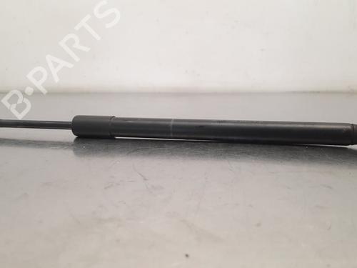 Used Hood lift support BMW X5 (F15, F85) sDrive 25 d (231 hp) 17115431