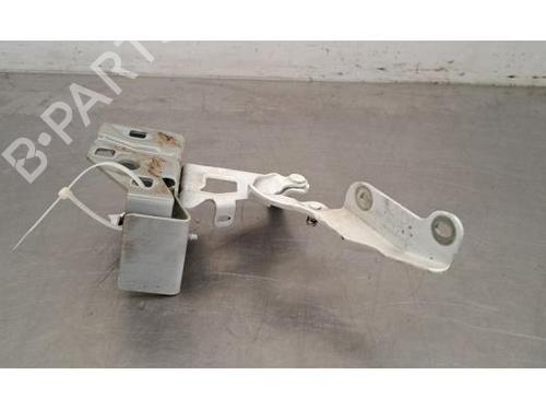 Hinge/Door check strap RENAULT TRAFIC III Van (FG_) 1.6 dCi 120 (FGMB, FGMC) | BP25479417C146 
