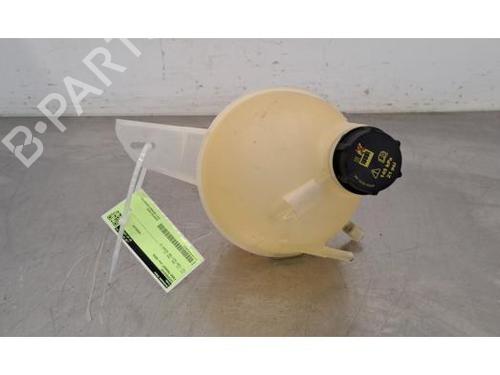 Ekpansionstank FORD TRANSIT V363 Van (FCD, FDD) 2.0 EcoBlue (130 hp) 30057270