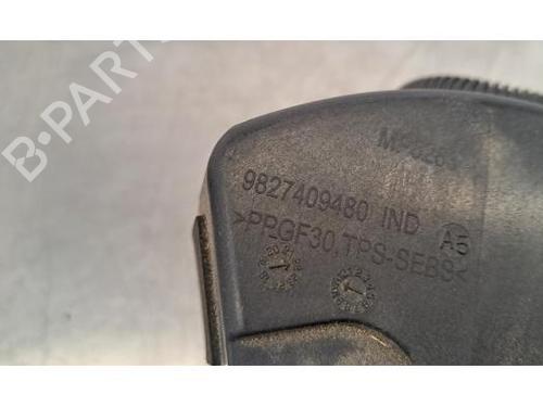 Fuel flap DS DS 3 / DS 3 CROSSBACK (UR_, UC_, UJ_) E-TENSE (UZZKXZ) | BP29045432C131 