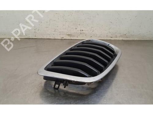 Grill BMW X6 (E71, E72) xDrive 30 d | BP38157897C40 - Image 4