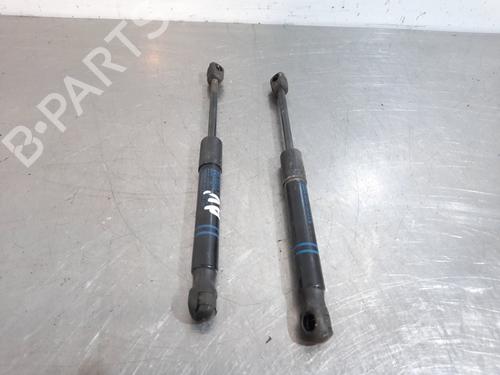 Hood lift support BMW 3 (F30, F80) 316 i | BP16264620C139 