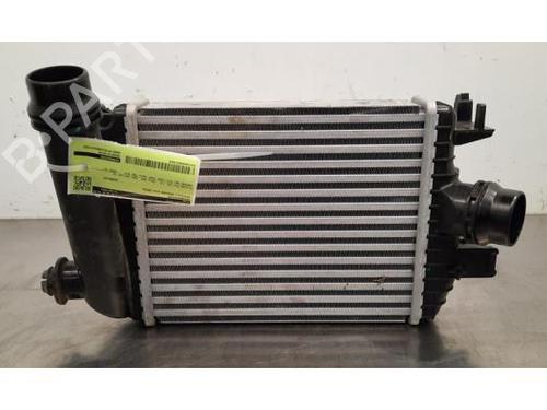 Used Intercooler RENAULT ARKANA I (LCM_, LDN_) 1.3 TCe 140 (LDN0) (140 hp) 24322619
