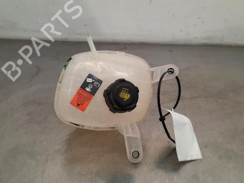 Used Expansion tank RENAULT AUSTRAL E-TECH 200 Hybrid (HGM2) (199 hp) 23622662