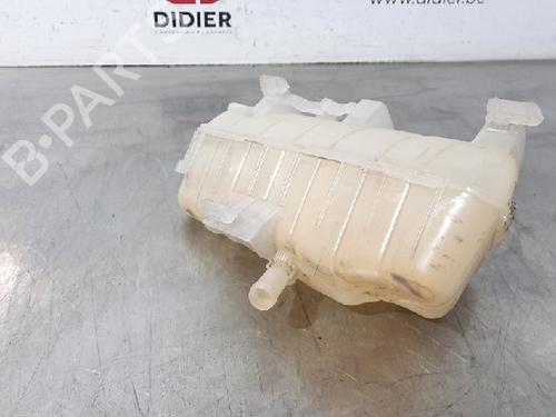 Used Expansion tank RENAULT KANGOO Express (FW0/1_) 1.5 dCi 90 (FW0G, FW05, FW08, FW11) (90 hp) 10875005
