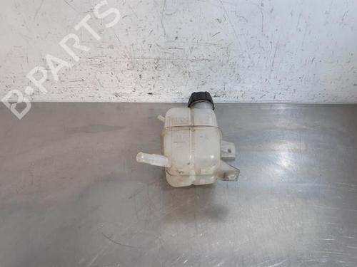 Used Expansion tank RENAULT KOLEOS I (HY_) 2.0 dCi (HY0K) (150 hp) 29515524