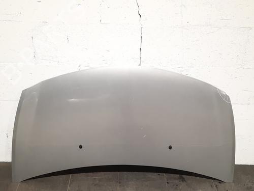Used Hood RENAULT CLIO III (BR0/1, CR0/1) 1.2 16V (BR0R, BR1D, BR1L, CR0R) (65 hp) 15032899