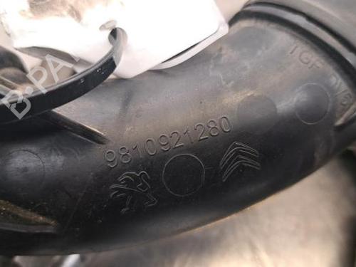 Pipe CITROËN C3 / C3 ORIGIN III (SX) 1.5 BlueHDi 100 (SXYHYP, SXYHTU) | BP23612652M125 